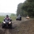 RIMG0736a
