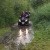 RIMG1433a