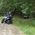 RIMG2844a