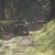 DSCN2384a